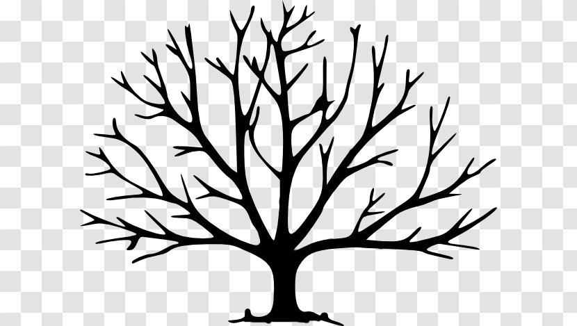 Leaf Tree Drawing Branch Clip Art - Root - Night Scene Transparent PNG