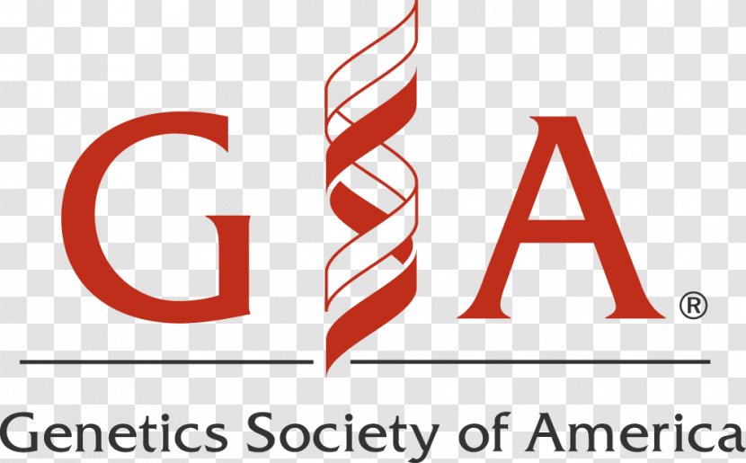 Genetics Society Of America Bethesda Federation American Societies For Experimental Biology Human - Molecular Transparent PNG