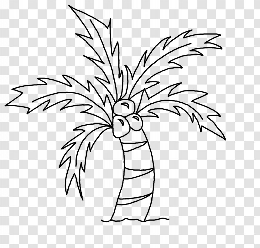 Drawing Coconut Art Sketch - Figure - Palm Leaves Transparent PNG