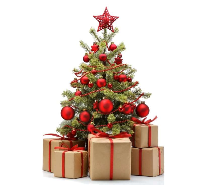 Medical Art & More Christmas Tree Gift New Year Transparent PNG