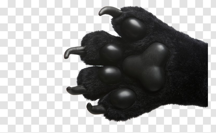 Bear Dog Claw Stock Photography - Frame - Sharp Claws Transparent PNG