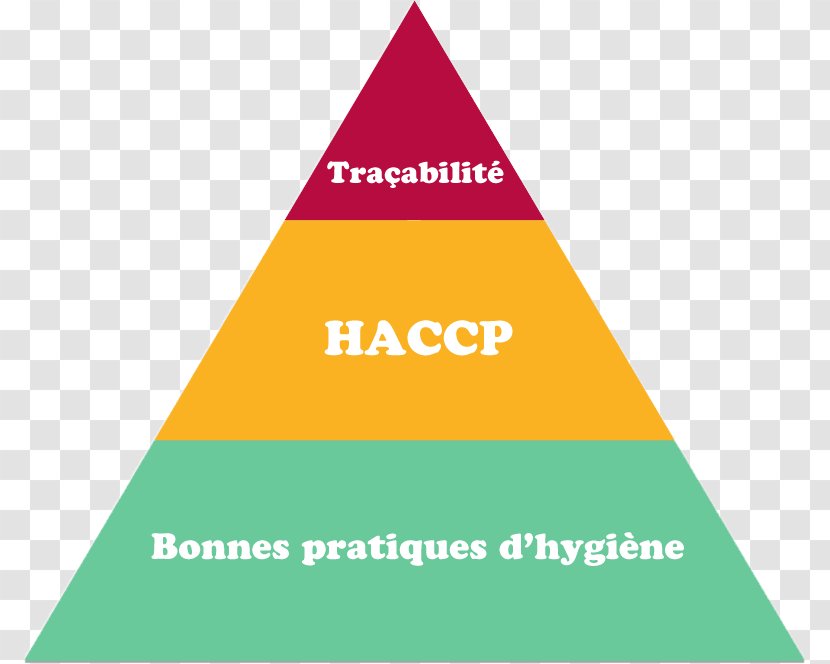 Formation Machine Learning Society Hazard Analysis And Critical Control Points Lithuania Social - Diagram - Haccp Transparent PNG