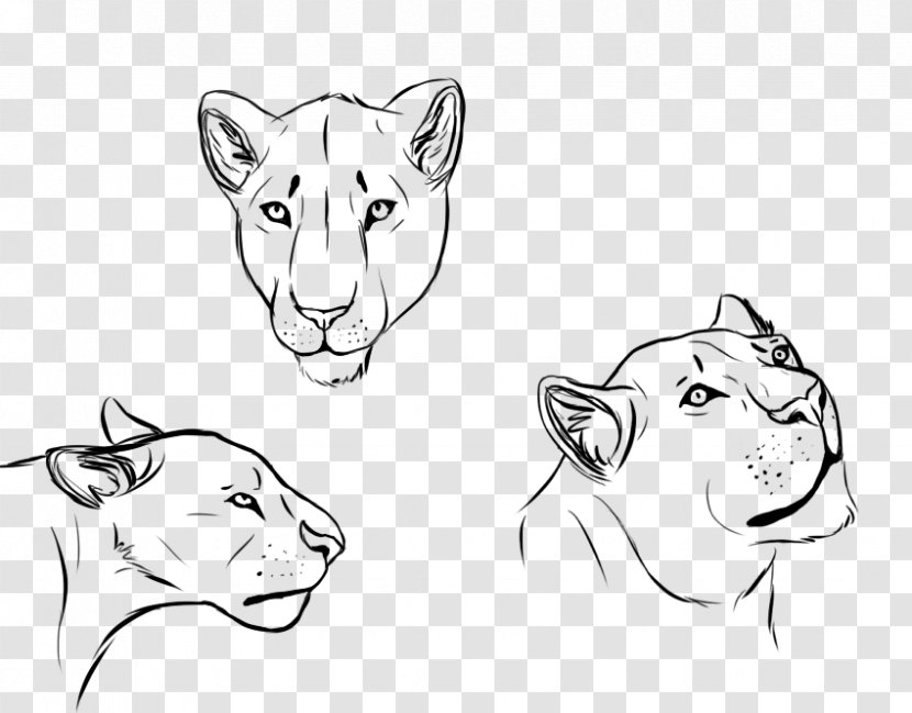 Lion Drawing Line Art Sketch - Big Cats Transparent PNG