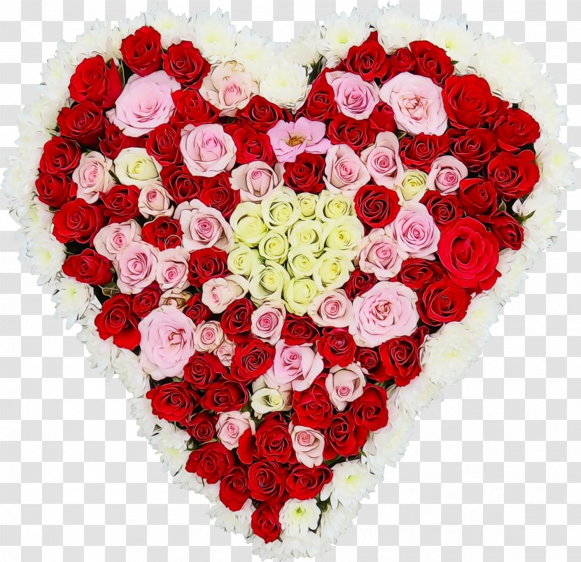 Garden Roses - Plant Valentines Day Transparent PNG
