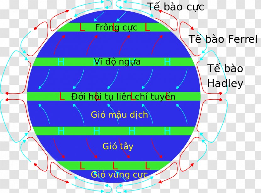 Trade Winds Prevailing Subtropical Ridge Westerlies - Atmosphere - Wind Transparent PNG