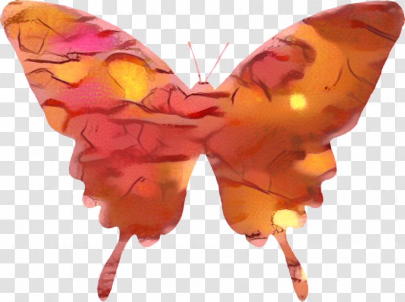 Butterfly Cartoon - Emperor Moths Symmetry Transparent PNG