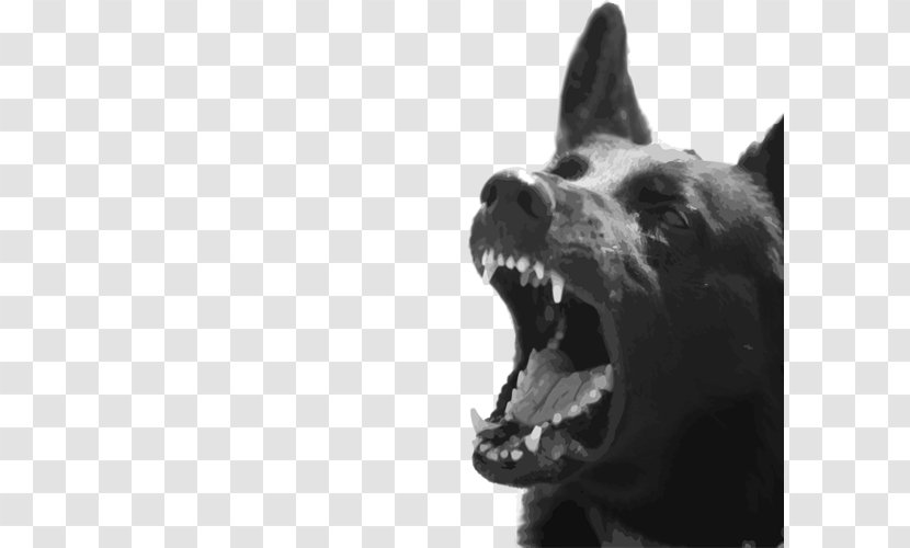 Dog Breed Biting Bite Animal - Group - Animalbites Transparent PNG