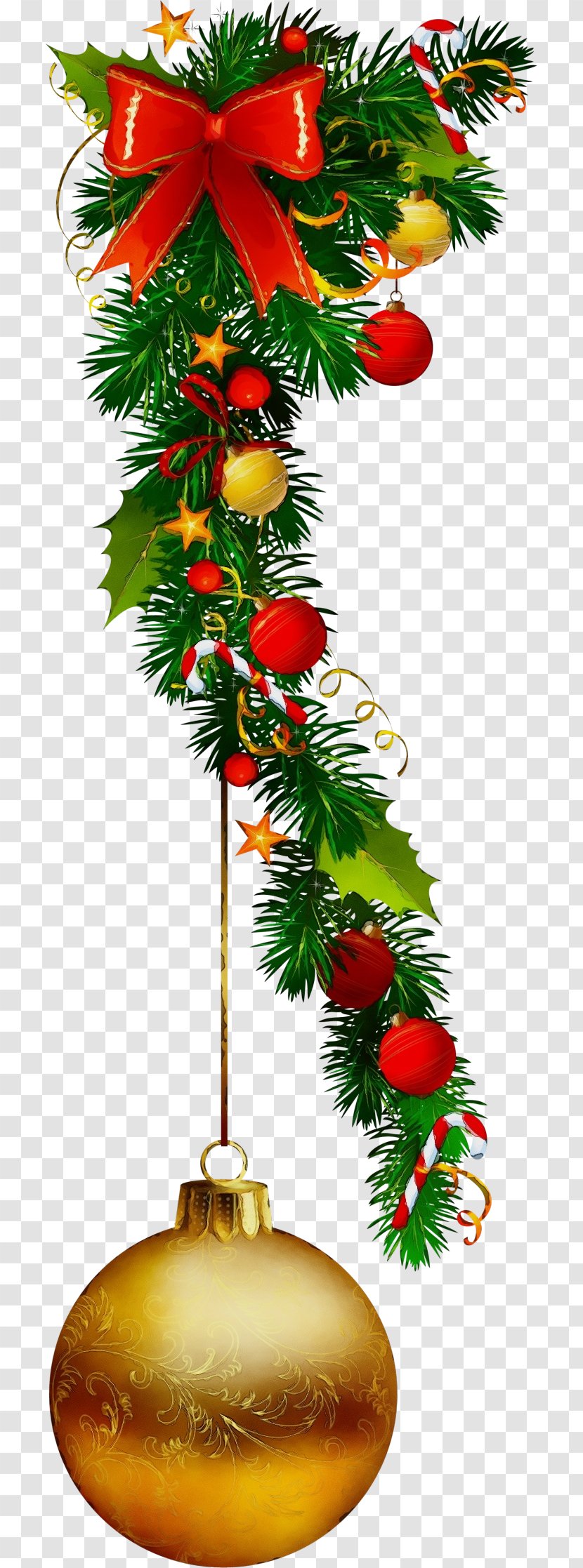Christmas Tree - Wet Ink - Fir Woody Plant Transparent PNG