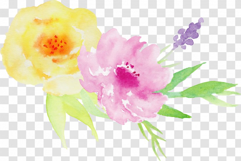 Watercolor Painting Illustration - Cut Flowers - Hand-painted Roses Decorative Elements Transparent PNG