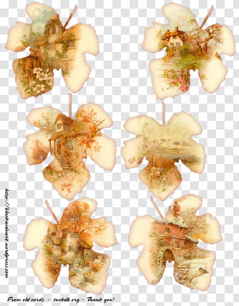 Paper Craft Art Collage Decoupage - Insect Transparent PNG