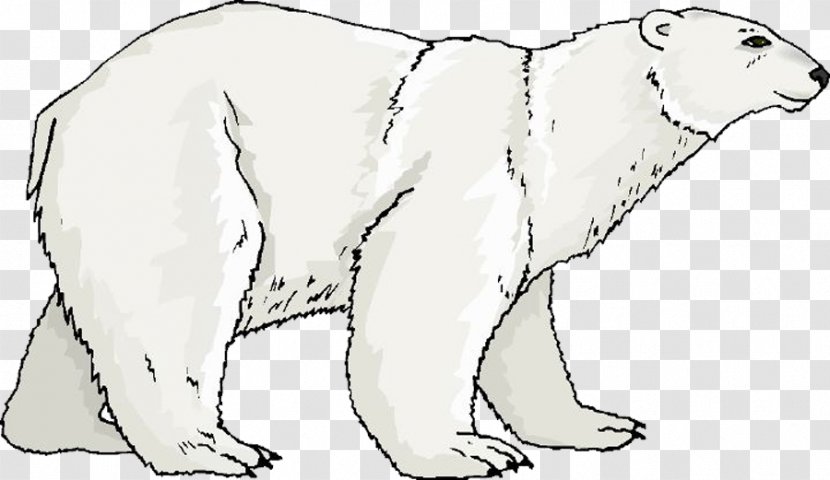 Polar Bear Dog Breed Giant Panda Ausmalbild - Terrestrial Animal Transparent PNG