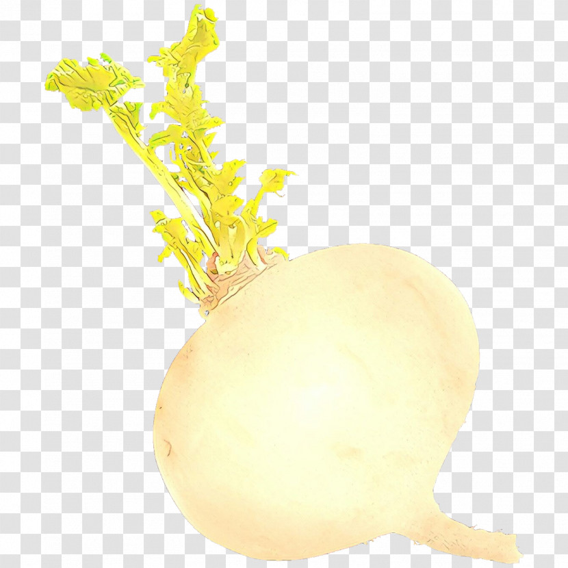Turnip Root Vegetable Vegetable Yellow Rutabaga Transparent PNG