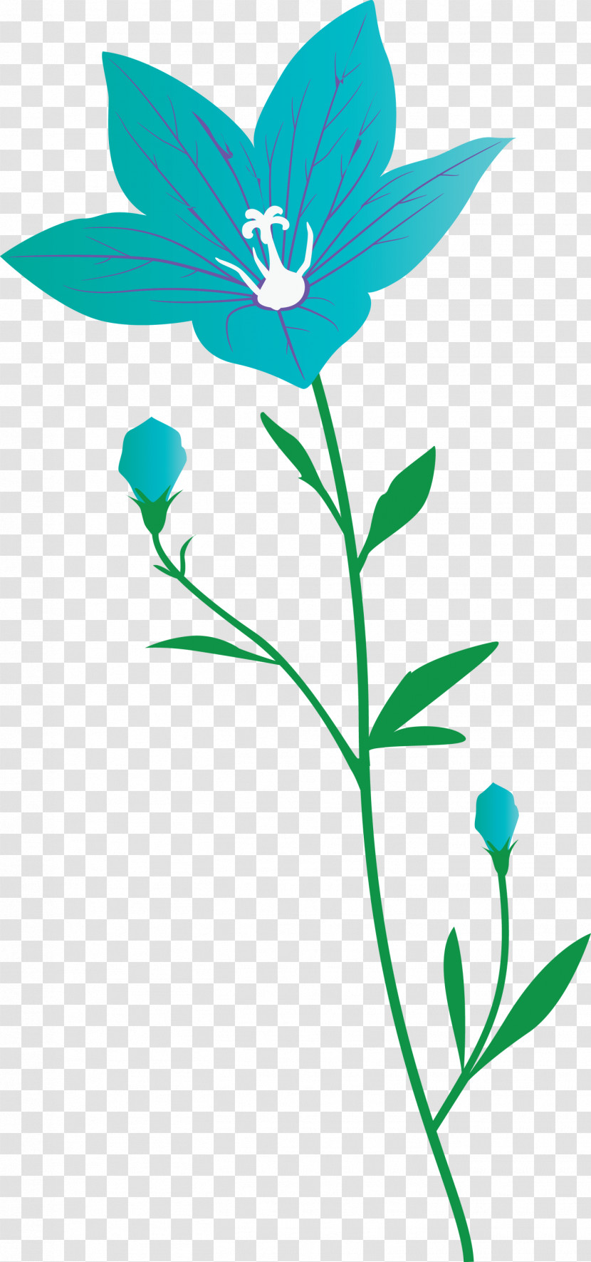 Balloon Flower Transparent PNG