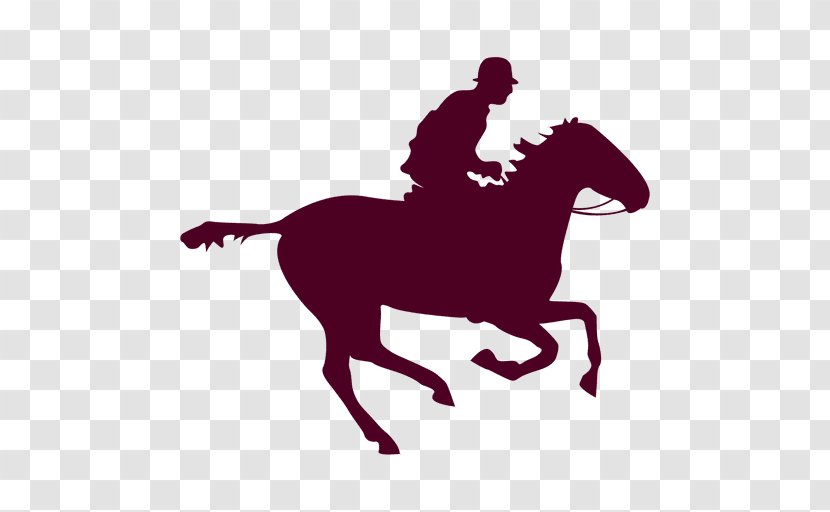 Horse Equestrian - Mustang Transparent PNG