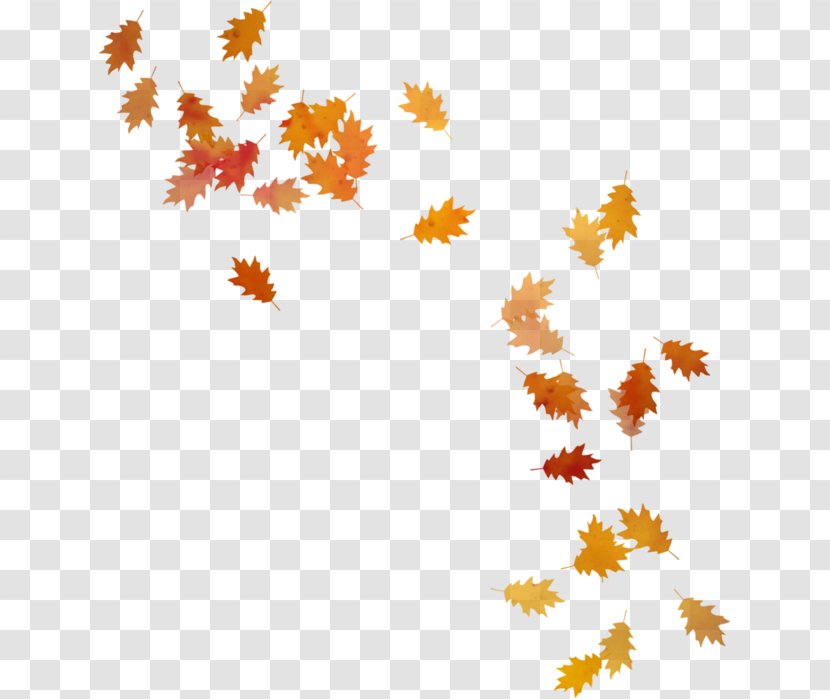 Autumn Leaves Leaf - Red Transparent PNG