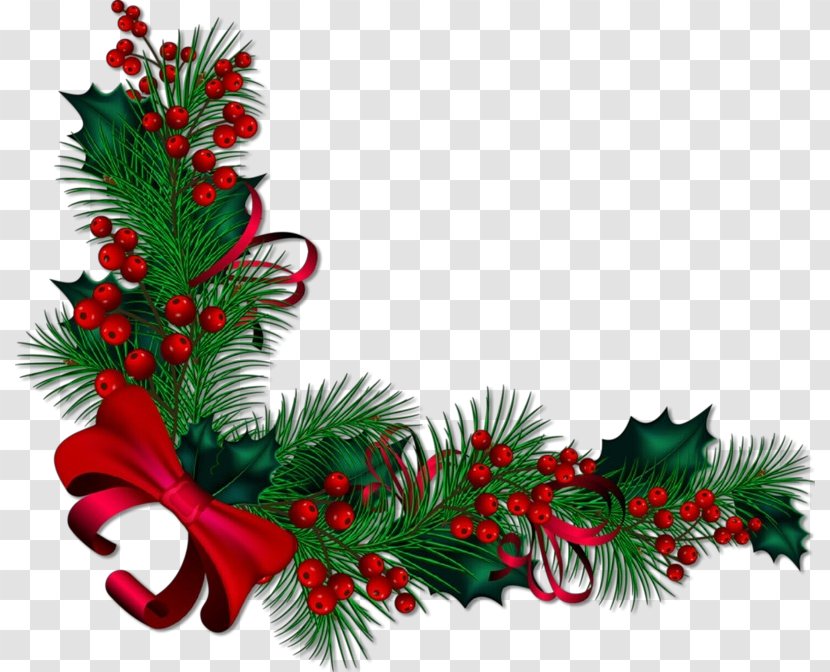 Christmas Decoration - Fir - Pine Eve Transparent PNG