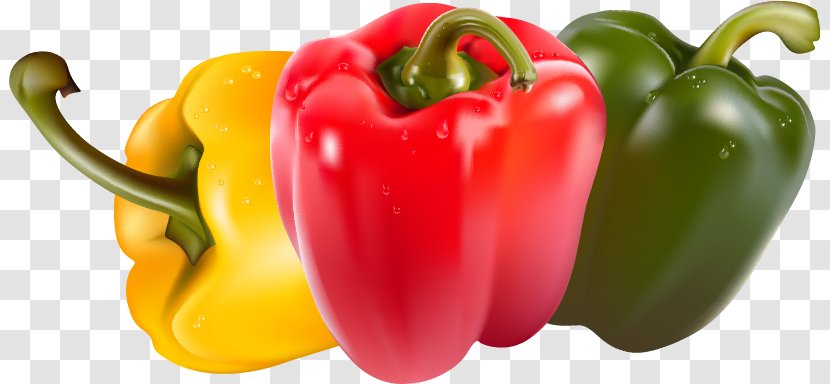 Bell Pepper Juice Vegetable Piquillo Chili - Fruit Transparent PNG