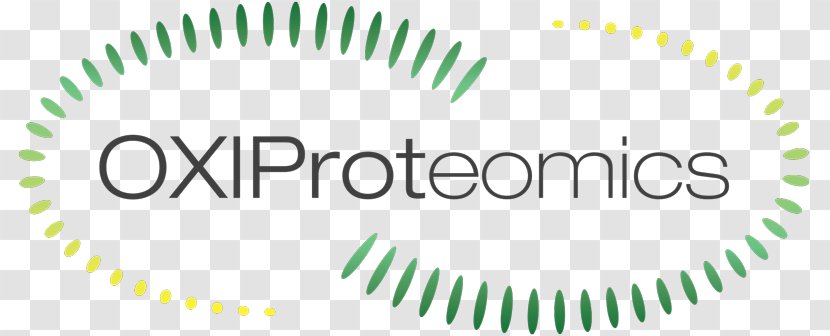Logo Brand Product Design Font - Where Are Proteins Macromolecule Is Made In The Bo Transparent PNG