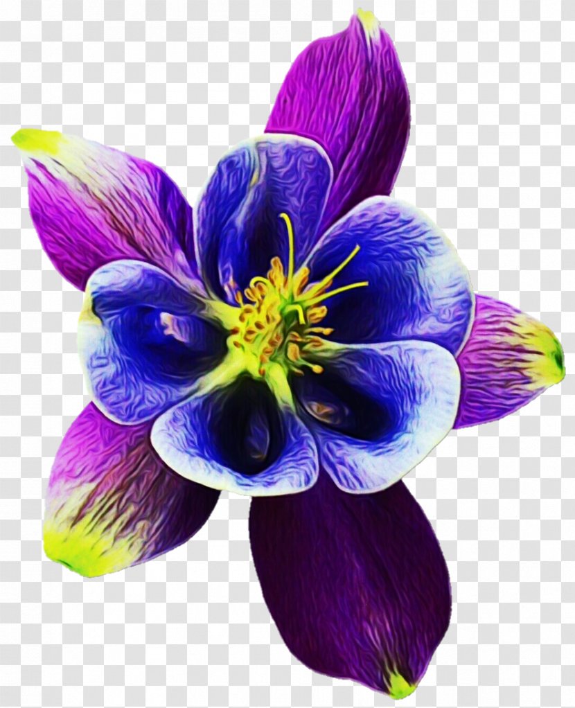 Flower Petal Plant Purple Violet - Wildflower Anemone Transparent PNG