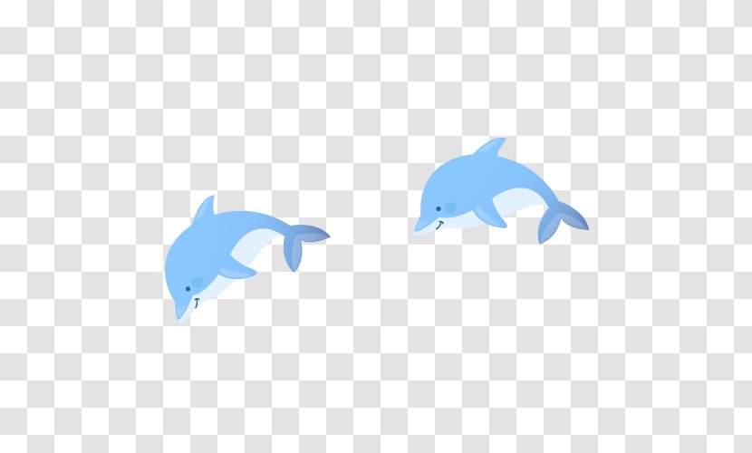 Dolphin Computer File - Animal Transparent PNG