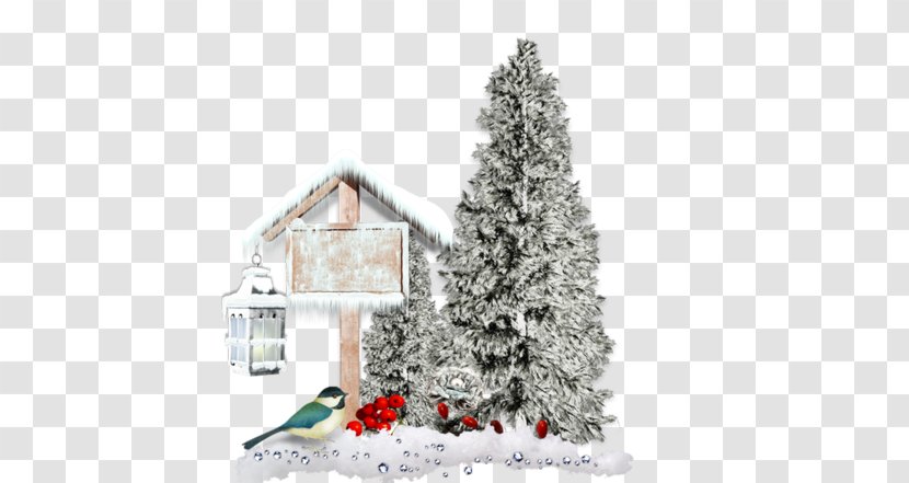 Winter Garden Christmas Tree Desktop Wallpaper - Evergreen - Lace Transparent PNG