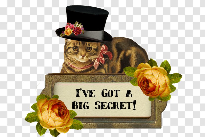 Cat Victorian Era Greeting & Note Cards Trailer Cabochon - Small To Medium Sized Cats Transparent PNG