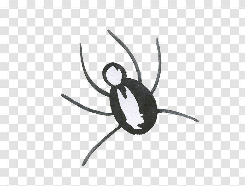 Spider Web Halloween - Technology Transparent PNG