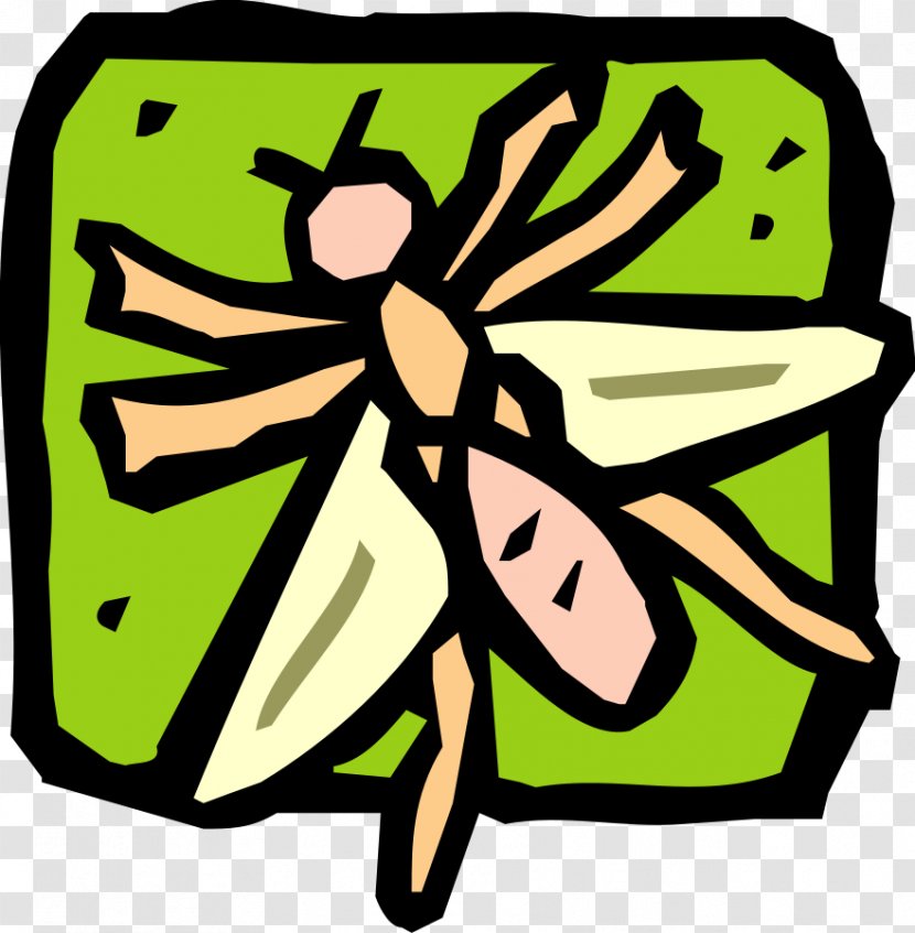 Insect Drawing Clip Art - Artwork Transparent PNG