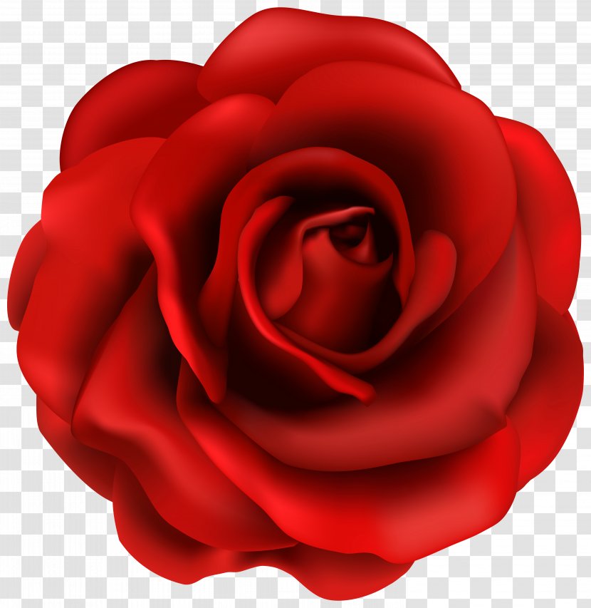 Rose Flower Clip Art - Thumbnail - Red Clipart Image Transparent PNG