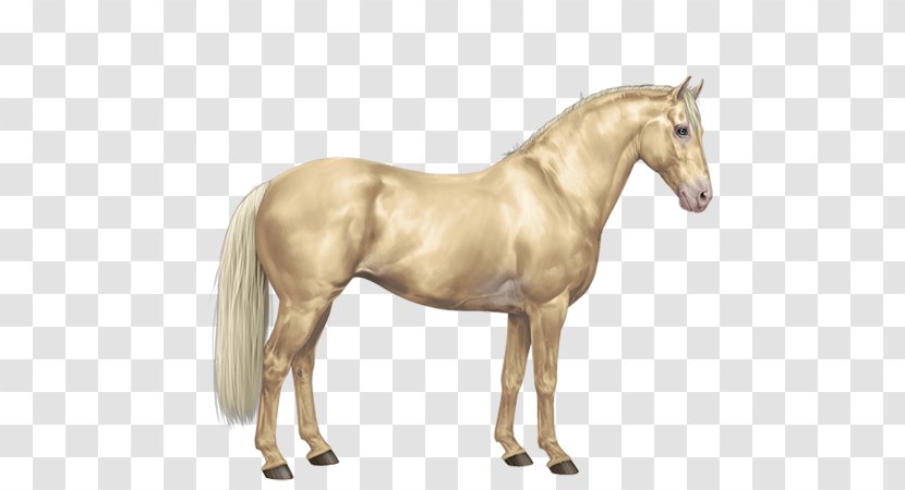 Mane Mustang American Paint Horse Arabian Mare - Equestrian - Gold Transparent PNG