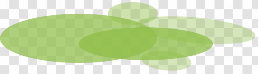 Product Design Desktop Wallpaper Font Leaf - Green - Colombia Exports Transparent PNG