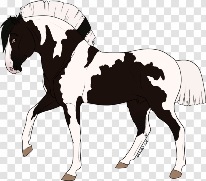Foal Stallion Mare Mustang Colt - Horse Transparent PNG