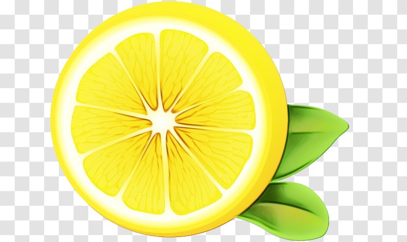 Lemon Citrus Yellow Green Lime - Plant - Leaf Transparent PNG