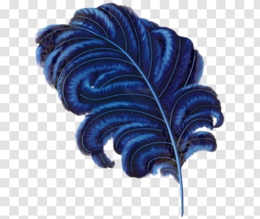 Leaf Drawing - Cartoon - Feather Electric Blue Transparent PNG