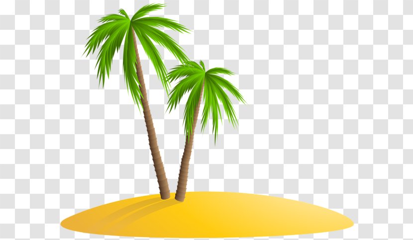 Arecaceae Palm Islands Clip Art - Woody Plant - Tree Island Transparent PNG