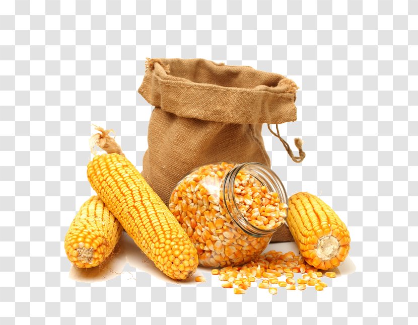 Maize Corn Kernel Sweet Cereal Grain - And Kernels Transparent PNG