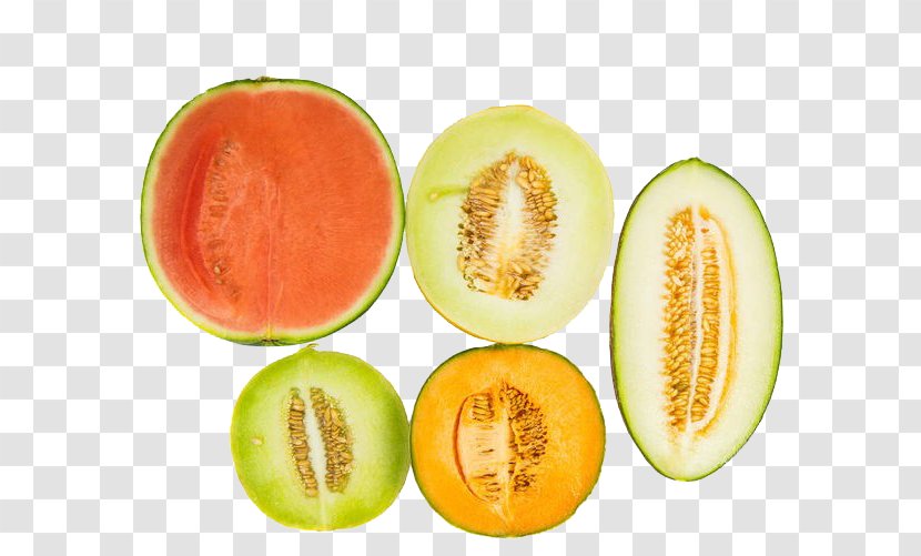 Charentais Melon Cantaloupe Hami Honeydew Canary - Fresh And Watermelon Transparent PNG