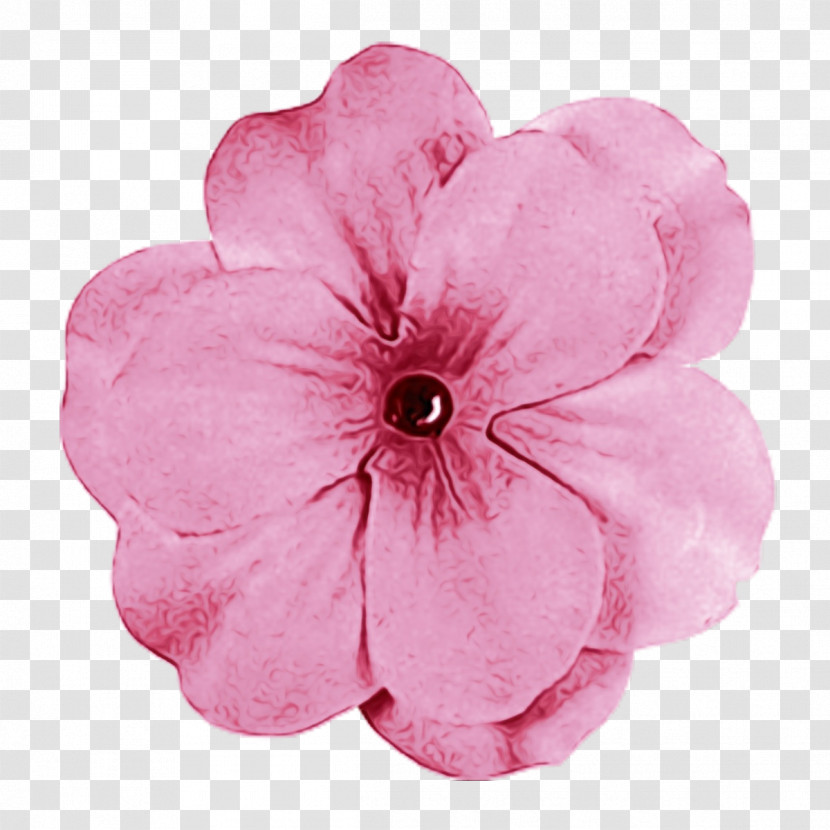 Floral Design Transparent PNG