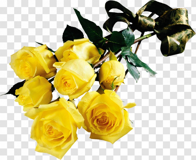 Garden Roses Yellow Flower Red Transparent PNG