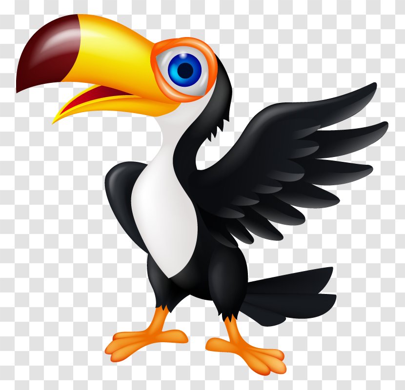 Bird Toucan Animation Clip Art - Photography Transparent PNG