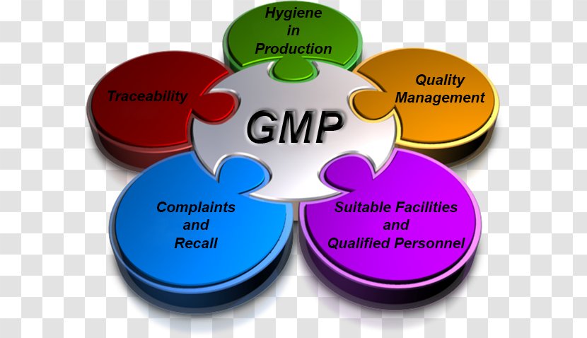 Good Manufacturing Practice Agile Software Development Governance Project Management DevOps - Brand - Environmental Protection Industry Transparent PNG