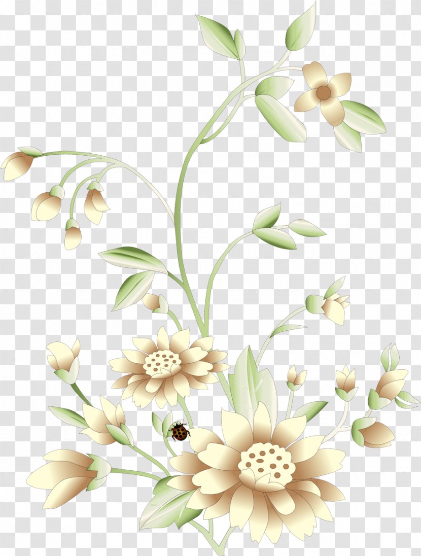 Floral Design Cut Flowers Flower Bouquet Plant Stem - Petal Transparent PNG