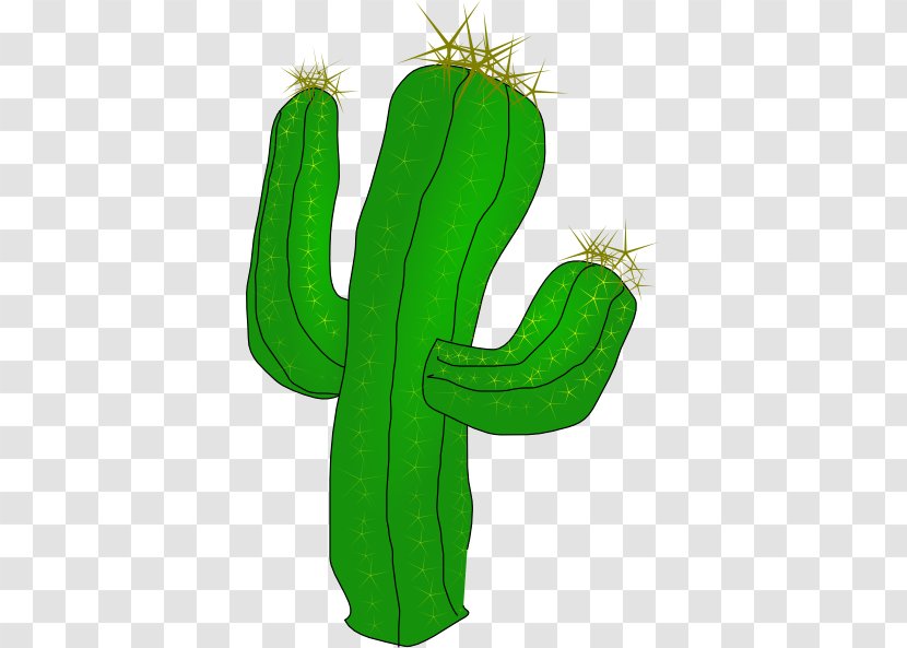 Cactaceae Saguaro RTM RANCH Clip Art - Cactus - Green Transparent PNG