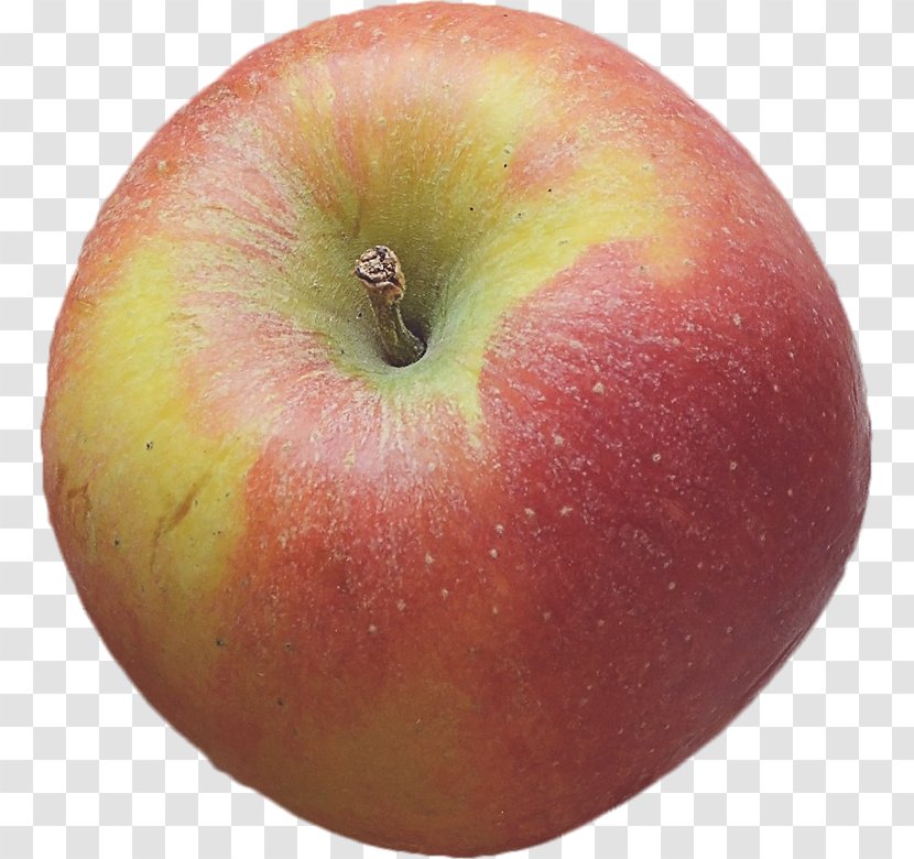New England Apple Wolf River Food - Local - Red Transparent PNG