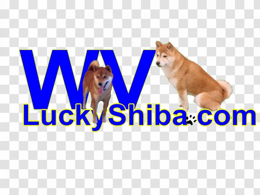Dog Breed Puppy Shiba Inu Snout - Mammal Transparent PNG