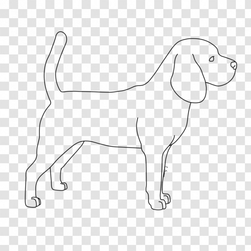 Dog Breed Puppy Sporting Group Retriever - Vertebrate Transparent PNG