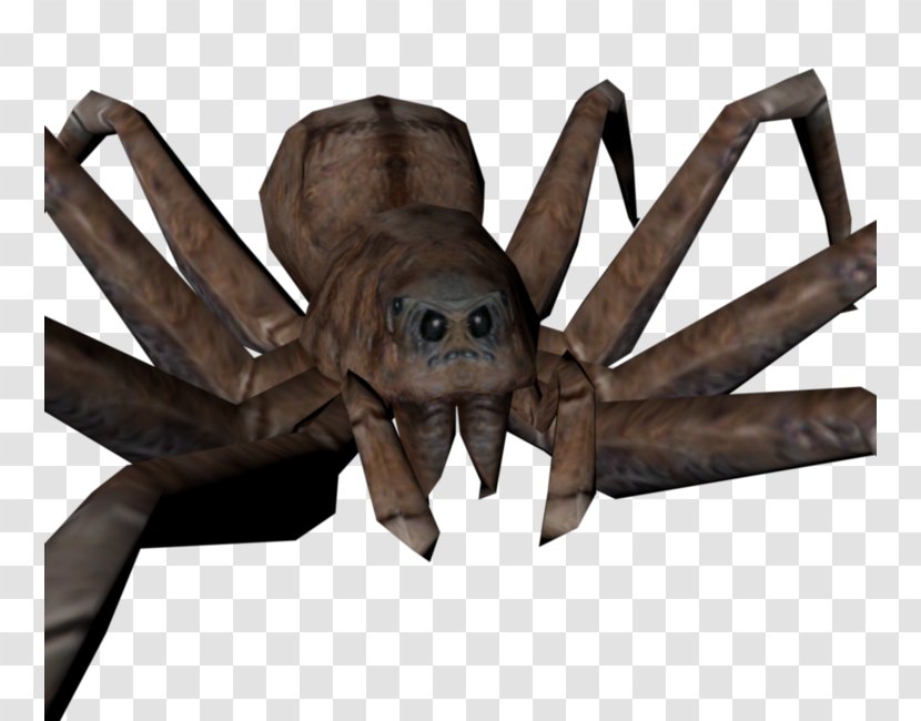 Aragog Harry Potter And The Chamber Of Secrets Tarantula PlayStation 2 - Lego Transparent PNG