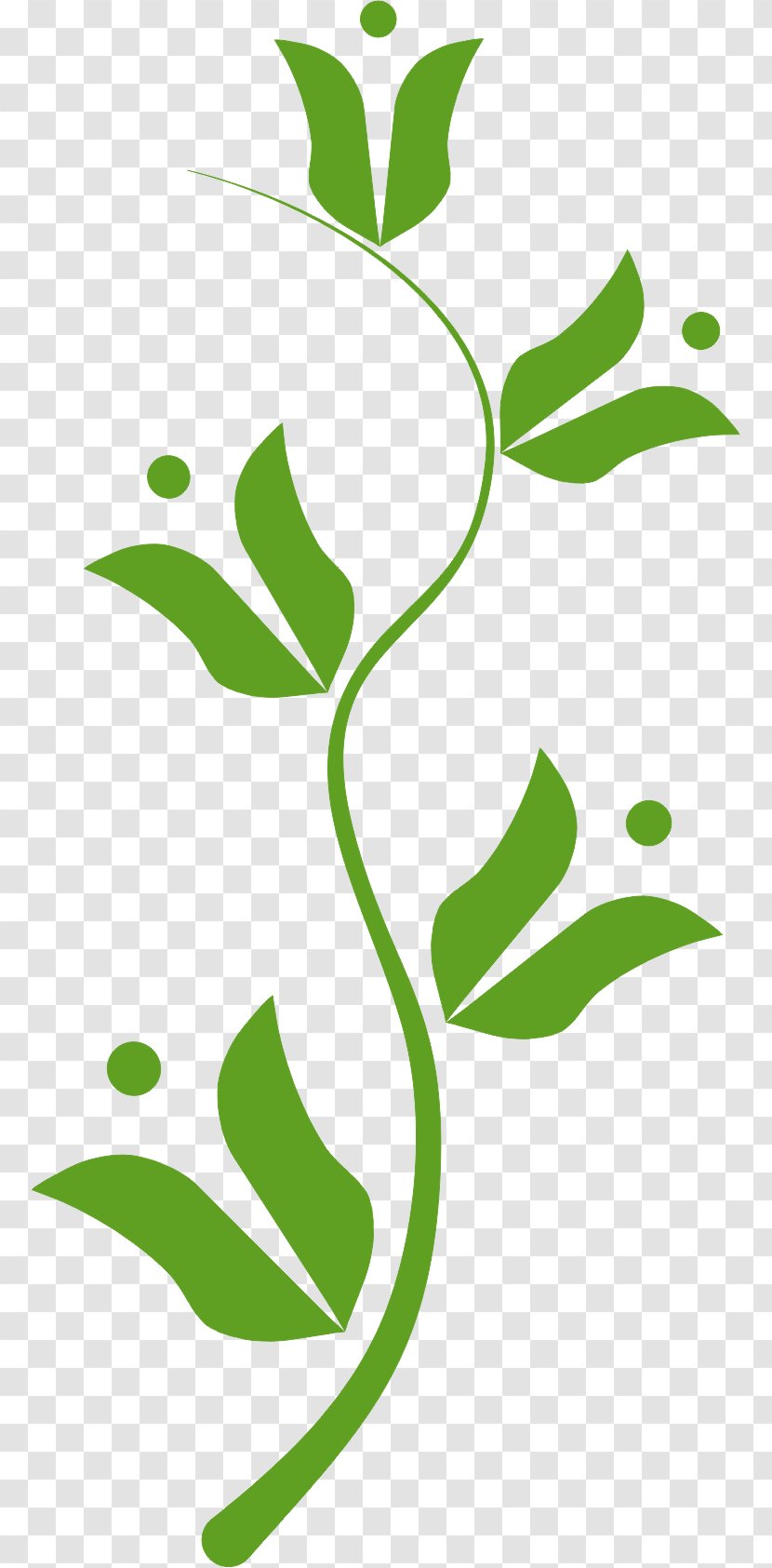 Agrojardins Ornamental Plant Management Project - Innovation - Olive Branch Transparent PNG
