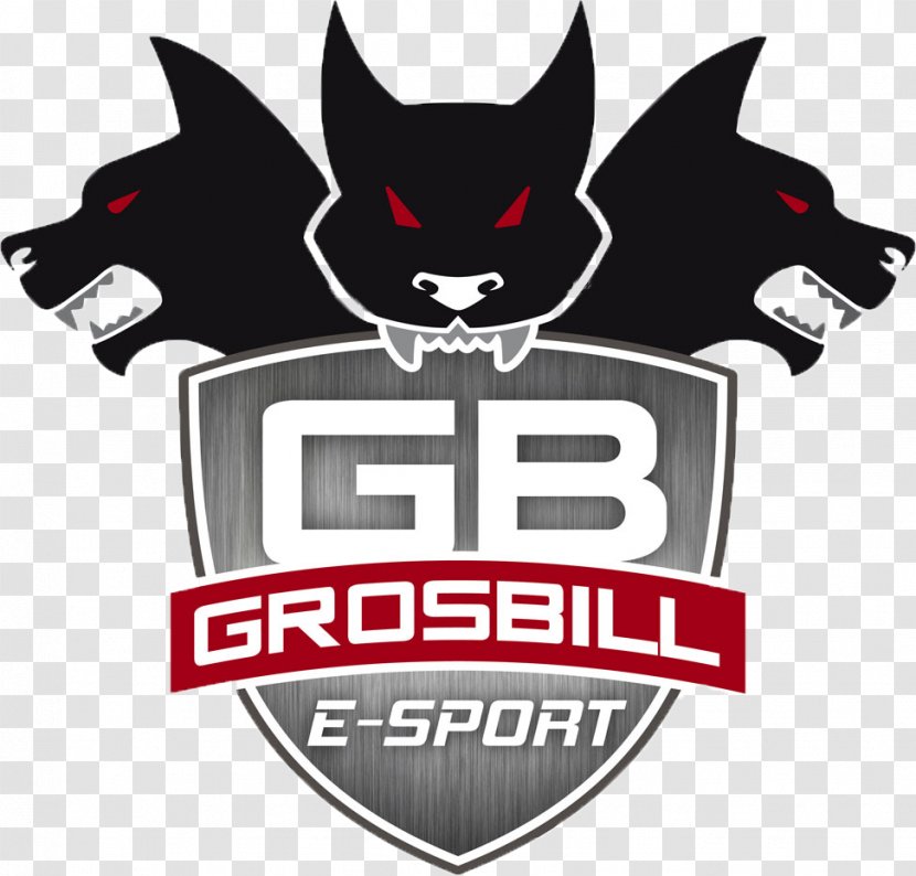 League Of Legends World Championship GrosBill Paris 13 Series Electronic Sports - Video Game Transparent PNG