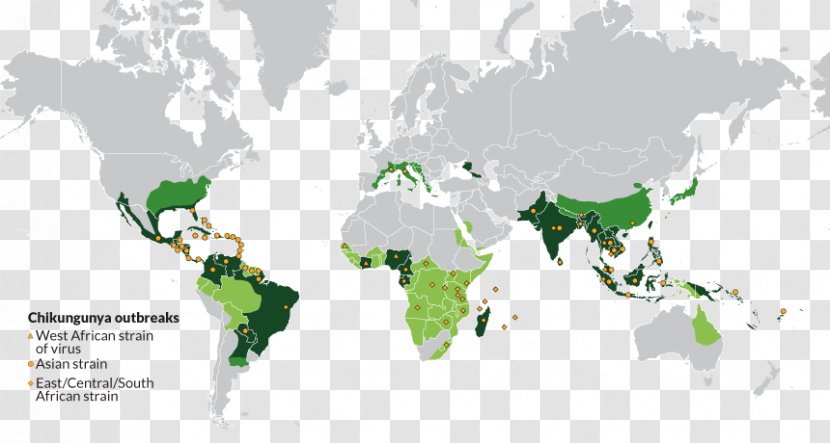 World Map Globe - Latitude Transparent PNG